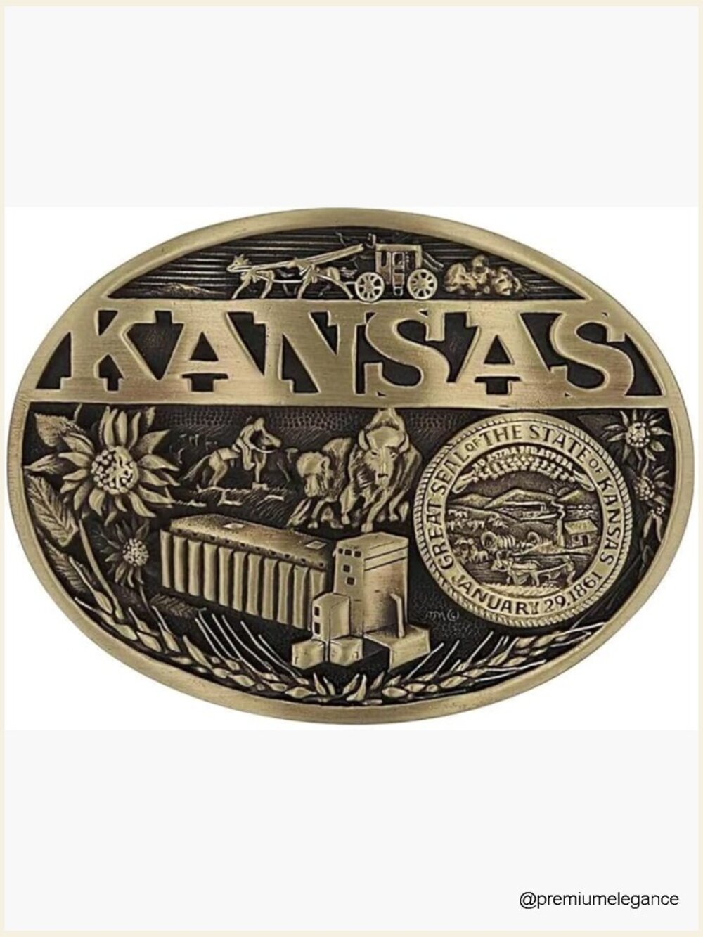 Oval Cast Brass Western Belt Buckle - Antique Patina - 1.5" Swivel